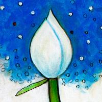 Carole Newman avatar