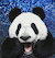 PANDAS IN CHINA