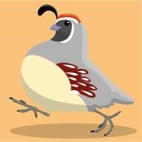 Rodrigo Esparza avatar