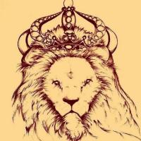 Aston Creations avatar