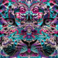 Digital Hallucinations by Sandra avatar