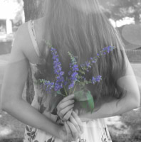 Rebekah Davenport avatar