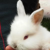 Jean Rodriguez avatar