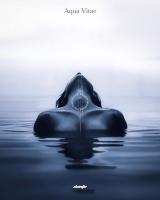 Łukasz Paluch avatar