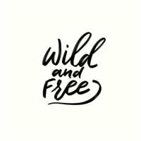 ELHOUSSINE EL GOUMIRI avatar