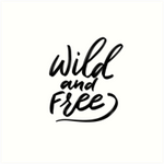 ELHOUSSINE EL GOUMIRI