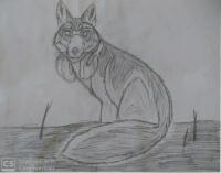 cristian baczek avatar