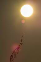 Jan Photos of everything avatar