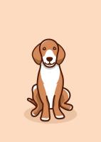 Javas Creative avatar