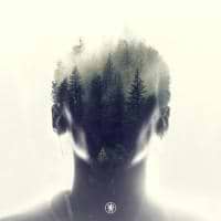 Mahammed Alimu avatar