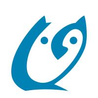 Little Owl Pictures avatar