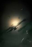 Stephen Reeves avatar