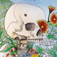 Marthe Noordzij avatar