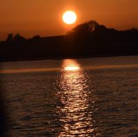 Elliot Beaver avatar