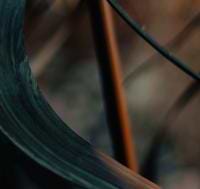 Silent Lanterns Designs avatar