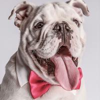 Releesy Wall Art avatar