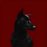 Indigo Designs avatar