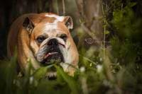 Sabine Photography avatar