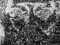 CentralSatellite avatar