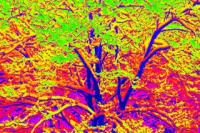 Geoff Ford Art avatar