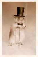 HungryHamsterStudios