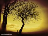 Dave Harnetty avatar