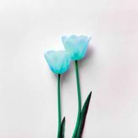 Nadzeya Vusik avatar