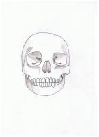 Thomas Van Pelt avatar