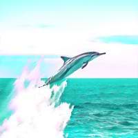 Carlos Martinez Menarguez avatar