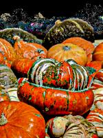 Michael Connor avatar