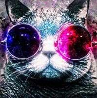 Brendon Lambert avatar