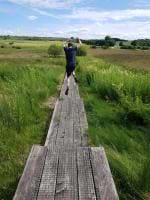 Simon Engelund avatar