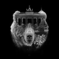 CityCreatives avatar