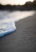 RochelleMcfarlane avatar