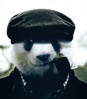 MatthieuSetiawan avatar