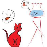 Movistaid Creative avatar