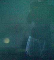 Irina Osokina avatar