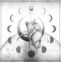 Illustrations Of Dreams avatar