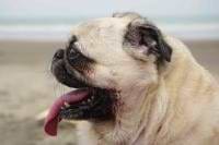 Dionnisios Xenos avatar