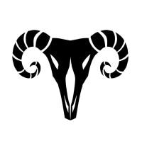 Carolina Sousa avatar