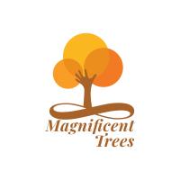 Rute Violante avatar