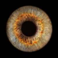 Balthazar The First avatar