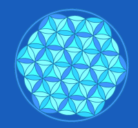 Sara Naglic Curis avatar