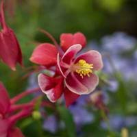 BW Photography avatar