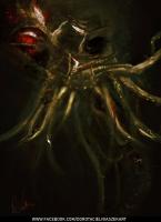 Dorota Cielniaszek avatar