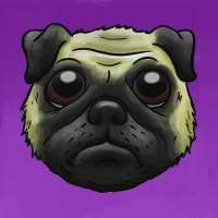 Edgard Nogueira avatar