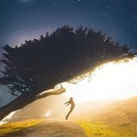 Rohit chaudhary avatar