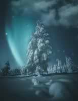 Hermit Dreams avatar