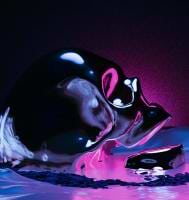 Taha Bostanci avatar