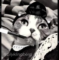 Lily Klingberg avatar